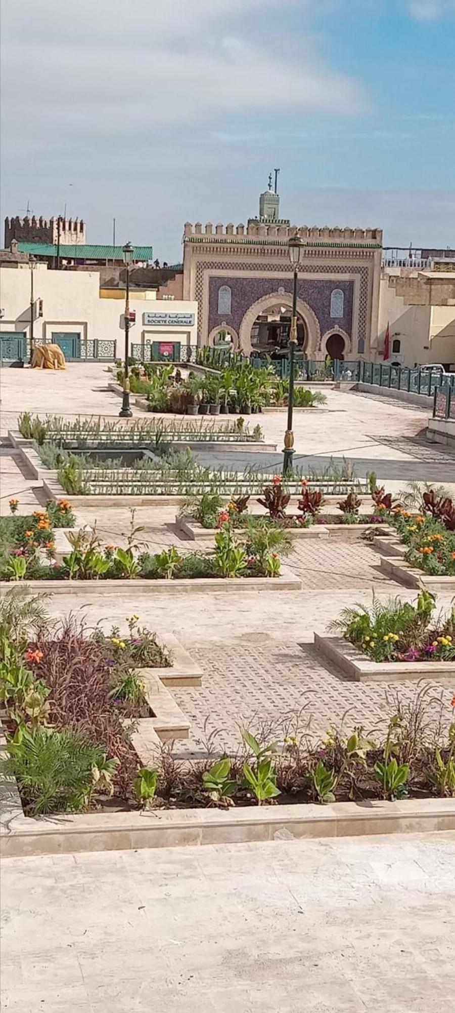 Center Medina